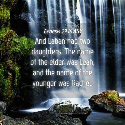 Picture 04 - Genesis 29:16 ASV - And Laban had two daughters. The name of the - Bible Verse Picture