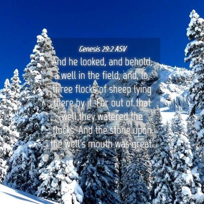 Picture 04 - Genesis 29:2 ASV - And he looked, and behold, a well in the field, - Bible Verse Picture