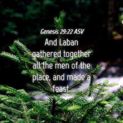 Picture 04 - Genesis 29:22 ASV - And Laban gathered together all the men of the - Bible Verse Picture