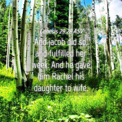 Picture 04 - Genesis 29:28 ASV - And jacob did so, and fulfilled her week. And he - Bible Verse Picture