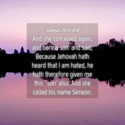 Picture 04 - Genesis 29:33 ASV - And she conceived again, and bare a son: and - Bible Verse Picture