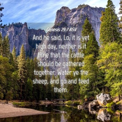 Picture 04 - Genesis 29:7 ASV - And he said, Lo, it is yet high day, neither is - Bible Verse Picture