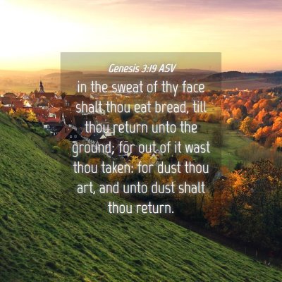 Picture 04 - Genesis 3:19 ASV - in the sweat of thy face shalt thou eat bread, - Bible Verse Picture
