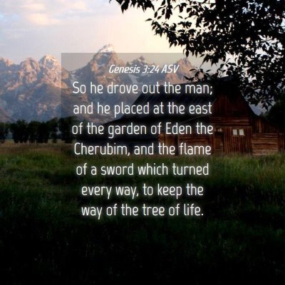 Picture 04 - Genesis 3:24 ASV - So he drove out the man; and he placed at the - Bible Verse Picture