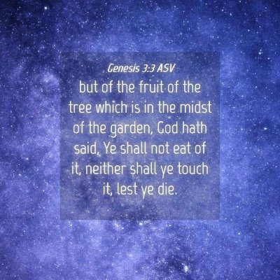 Picture 04 - Genesis 3:3 ASV - but of the fruit of the tree which is in the - Bible Verse Picture