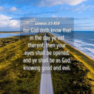 Picture 04 - Genesis 3:5 ASV - for God doth know that in the day ye eat thereof, - Bible Verse Picture