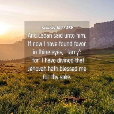 Picture 04 - Genesis 30:27 ASV - And Laban said unto him, If now I have found - Bible Verse Picture