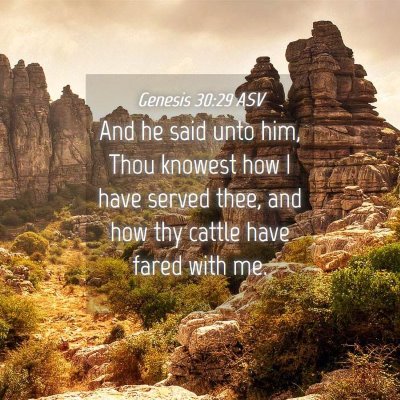 Picture 04 - Genesis 30:29 ASV - And he said unto him, Thou knowest how I have - Bible Verse Picture