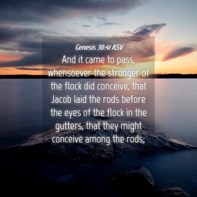 Picture 04 - Genesis 30:41 ASV - And it came to pass, whensoever the stronger of - Bible Verse Picture