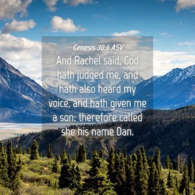 Picture 04 - Genesis 30:6 ASV - And Rachel said, God hath judged me, and hath - Bible Verse Picture