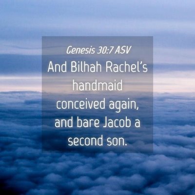 Picture 04 - Genesis 30:7 ASV - And Bilhah Rachel's handmaid conceived again, and - Bible Verse Picture