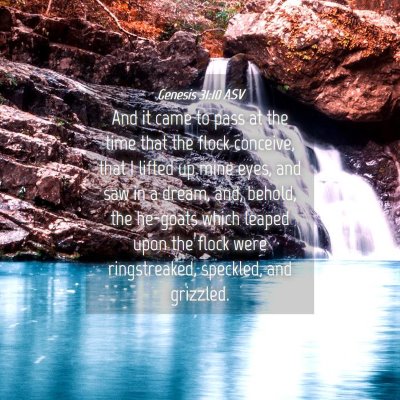 Picture 04 - Genesis 31:10 ASV - And it came to pass at the time that the flock - Bible Verse Picture