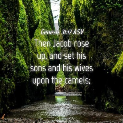 Picture 04 - Genesis 31:17 ASV - Then Jacob rose up, and set his sons and his - Bible Verse Picture