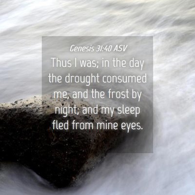 Picture 04 - Genesis 31:40 ASV - Thus I was; in the day the drought consumed me, - Bible Verse Picture