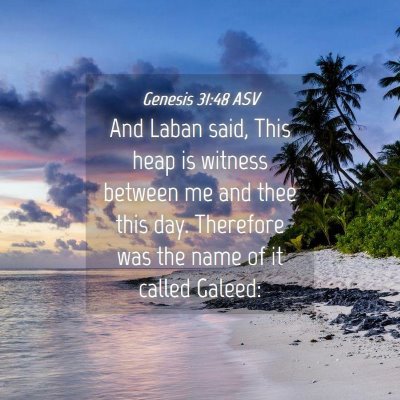 Picture 04 - Genesis 31:48 ASV - And Laban said, This heap is witness between me - Bible Verse Picture