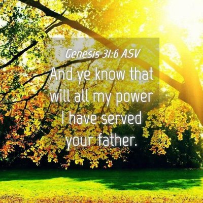 Picture 04 - Genesis 31:6 ASV - And ye know that will all my power I have served - Bible Verse Picture