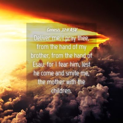 Picture 04 - Genesis 32:11 ASV - Deliver me, I pray thee, from the hand of my - Bible Verse Picture