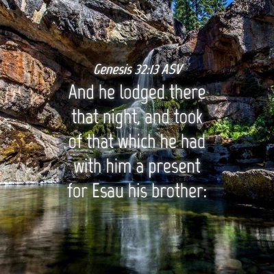 Picture 04 - Genesis 32:13 ASV - And he lodged there that night, and took of that - Bible Verse Picture