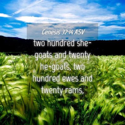 Picture 04 - Genesis 32:14 ASV - two hundred she-goats and twenty he-goats, two - Bible Verse Picture