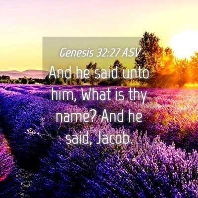 Picture 04 - Genesis 32:27 ASV - And he said unto him, What is thy name? And he - Bible Verse Picture