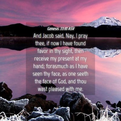 Picture 04 - Genesis 33:10 ASV - And Jacob said, Nay, I pray thee, if now I have - Bible Verse Picture