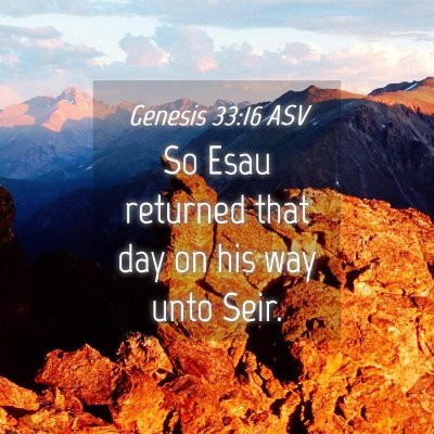 Picture 04 - Genesis 33:16 ASV - So Esau returned that day on his way unto - Bible Verse Picture