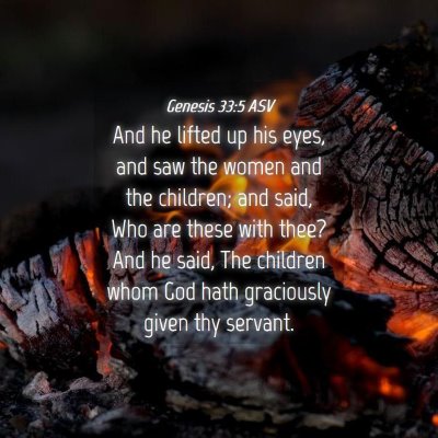 Picture 04 - Genesis 33:5 ASV - And he lifted up his eyes, and saw the women and - Bible Verse Picture