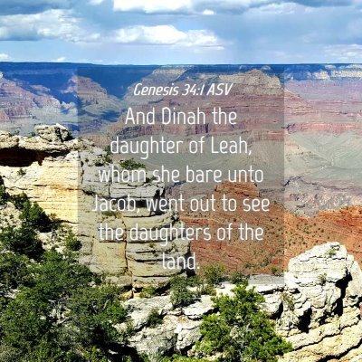 Picture 04 - Genesis 34:1 ASV - And Dinah the daughter of Leah, whom she bare - Bible Verse Picture