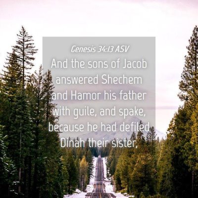 Picture 04 - Genesis 34:13 ASV - And the sons of Jacob answered Shechem and Hamor - Bible Verse Picture