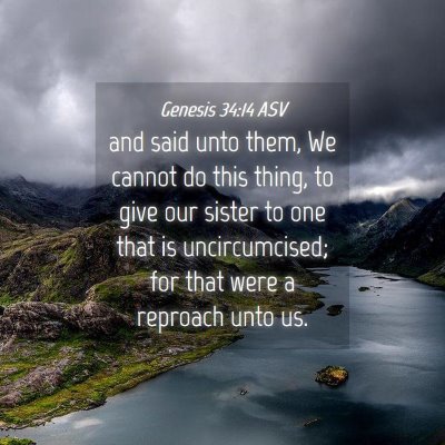 Picture 04 - Genesis 34:14 ASV - and said unto them, We cannot do this thing, to - Bible Verse Picture