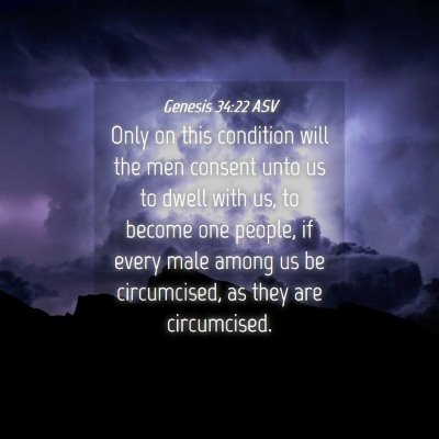 Picture 04 - Genesis 34:22 ASV - Only on this condition will the men consent unto - Bible Verse Picture