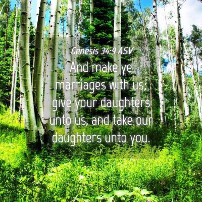 Picture 04 - Genesis 34:9 ASV - And make ye marriages with us; give your - Bible Verse Picture