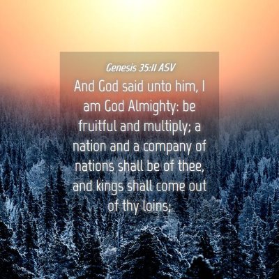 Picture 04 - Genesis 35:11 ASV - And God said unto him, I am God Almighty: be - Bible Verse Picture