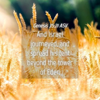 Picture 04 - Genesis 35:21 ASV - And Israel journeyed, and spread his tent beyond - Bible Verse Picture