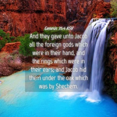 Picture 04 - Genesis 35:4 ASV - And they gave unto Jacob all the foreign gods - Bible Verse Picture