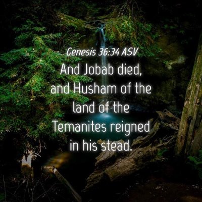 Picture 04 - Genesis 36:34 ASV - And Jobab died, and Husham of the land of the - Bible Verse Picture
