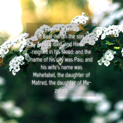 Picture 04 - Genesis 36:39 ASV - And Baal-hanan the son of Achbor died, and Hadar - Bible Verse Picture