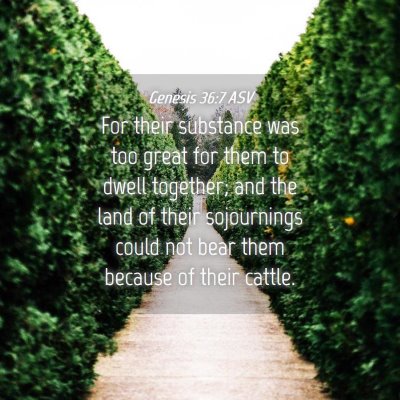 Picture 04 - Genesis 36:7 ASV - For their substance was too great for them to - Bible Verse Picture