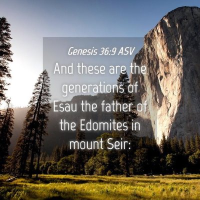 Picture 04 - Genesis 36:9 ASV - And these are the generations of Esau the father - Bible Verse Picture