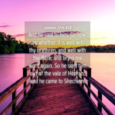 Picture 04 - Genesis 37:14 ASV - And he said to him, Go now, see whether it is - Bible Verse Picture
