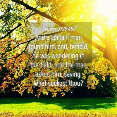 Picture 04 - Genesis 37:15 ASV - And a certain man found him, and, behold, he was - Bible Verse Picture