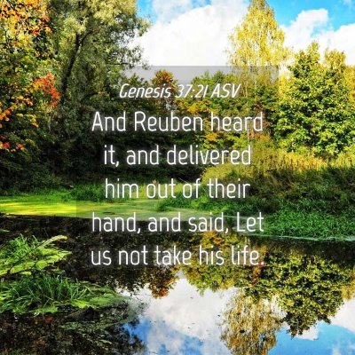 Picture 04 - Genesis 37:21 ASV - And Reuben heard it, and delivered him out of - Bible Verse Picture