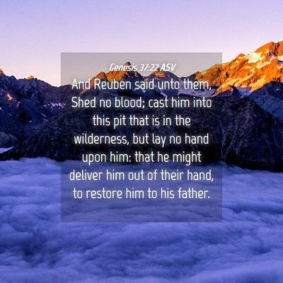 Picture 04 - Genesis 37:22 ASV - And Reuben said unto them, Shed no blood; cast - Bible Verse Picture