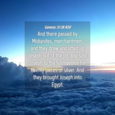 Picture 04 - Genesis 37:28 ASV - And there passed by Midianites, merchantmen; and - Bible Verse Picture