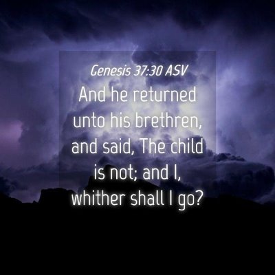 Picture 04 - Genesis 37:30 ASV - And he returned unto his brethren, and said, The - Bible Verse Picture