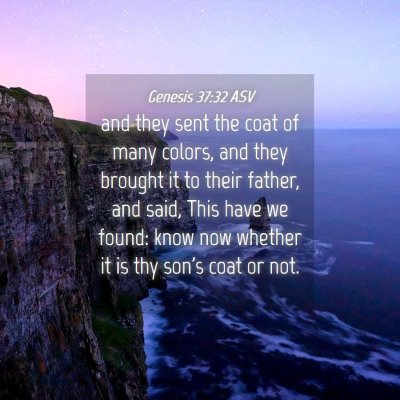 Picture 04 - Genesis 37:32 ASV - and they sent the coat of many colors, and they - Bible Verse Picture