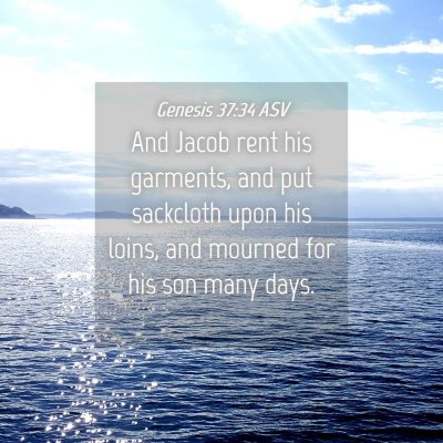 Picture 04 - Genesis 37:34 ASV - And Jacob rent his garments, and put sackcloth - Bible Verse Picture