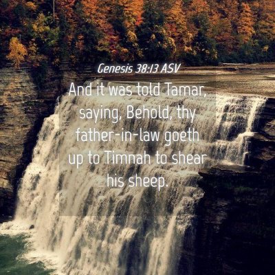 Picture 04 - Genesis 38:13 ASV - And it was told Tamar, saying, Behold, thy - Bible Verse Picture