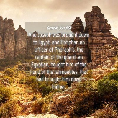 Picture 04 - Genesis 39:1 ASV - And Joseph was brought down to Egypt; and - Bible Verse Picture