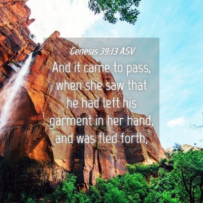 Picture 04 - Genesis 39:13 ASV - And it came to pass, when she saw that he had - Bible Verse Picture